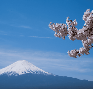 japon_Mesa de trabajo 1.png