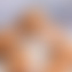 Nutella Hazelnut Cupcakes