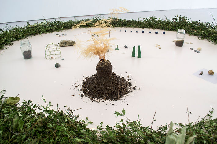 Celeste Taylor, installation, map, collection, assemblage, natural, map, neolithic, standing stones, barrow, mound, Wales, Anglesey