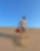 443006223_1191224505208656_7411635699747187112_n.jpg