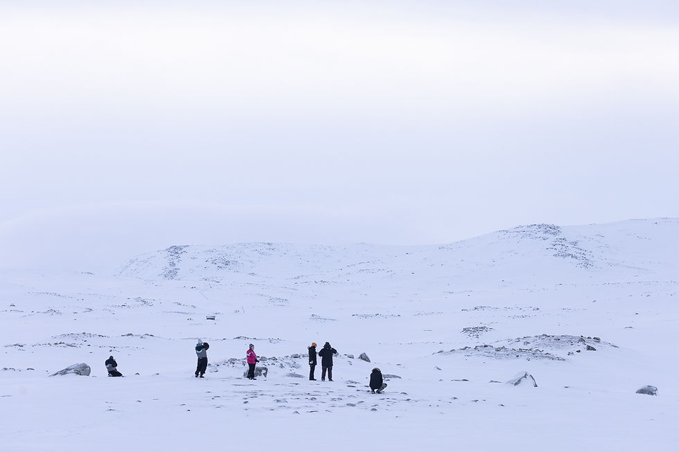 Sometimes the white landscape merges with the sky.