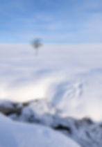 Details of the Arctic highlands.
