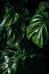 Ensaio_HKPhoto-90.jpg