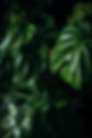 Ensaio_HKPhoto-90.jpg