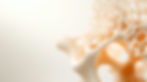 Bone Health & CKD-MBD - NephronLife Kidney Care