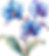 Layer_1.png