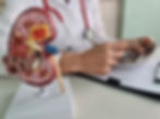 Nephrologist in Royse City, Texas - NephronLife Kidney Care