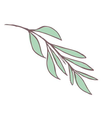 Fuzzy Friends Plant.png