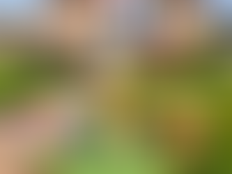 2026 Summer Camp Registration is Open!