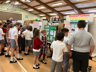 2025 Science Fair Winners Announced