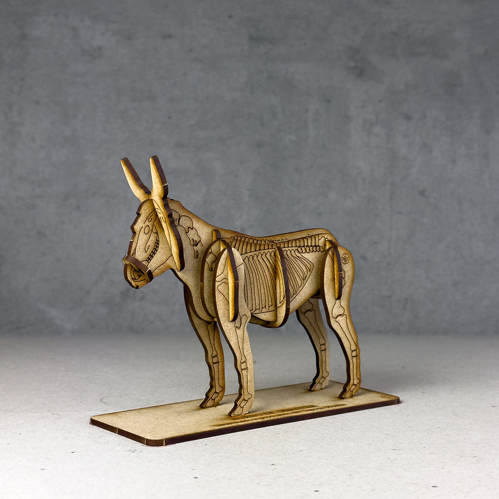 Miniatura: Burro de Miranda 3D - Halloween
