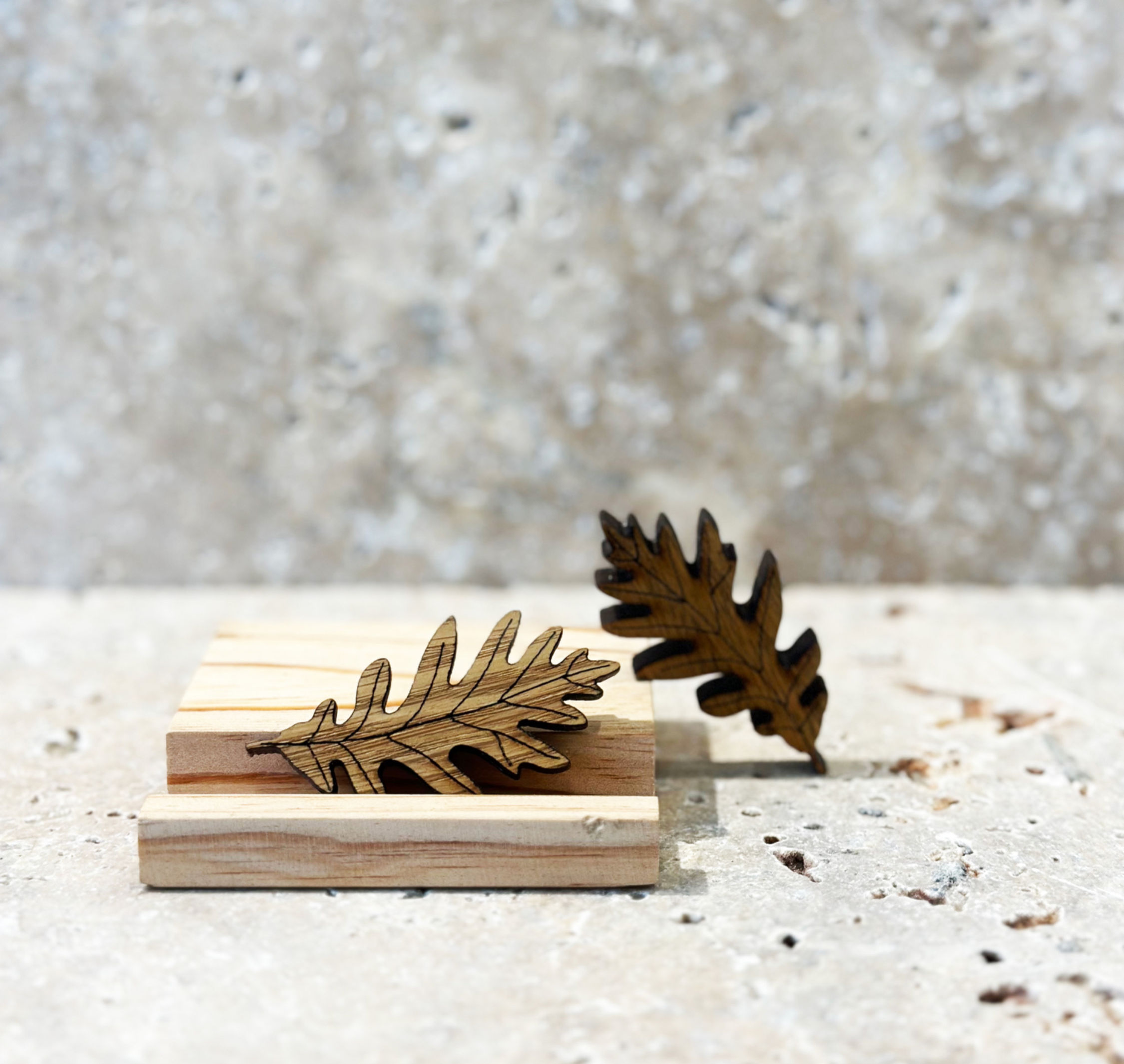 Íman Folha de Carvalho