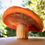 Miniatura: Cogumelo 3D - Lactarius deliciosus