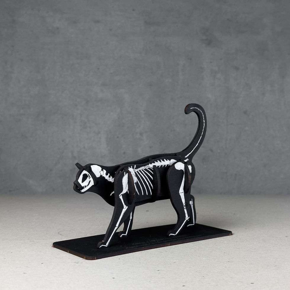 Miniatura: Gato Europeu 3D - Halloween
