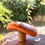 Miniatura: Cogumelo 3D - Lactarius deliciosus