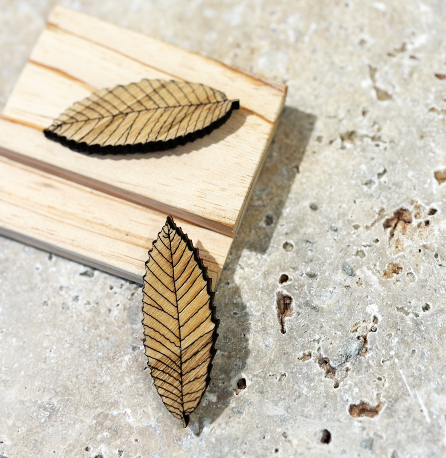 Íman Folha de Castanheiro