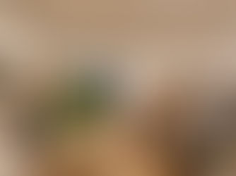 The Challenges of Buying Interior Decor Items Online vs. In-Store.