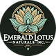 Fond d'écran Cercle Lotus Émeraude 100x100.png