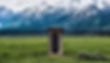 outhouse-mountains-podcast_h.jpg