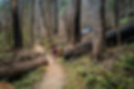 Thumbnail: Terwilliger Hot Springs | Willamette National Forest, OR