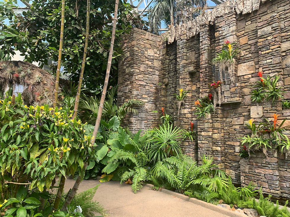 Labor Day Weekend at Daniel Stowe Botanical Garden