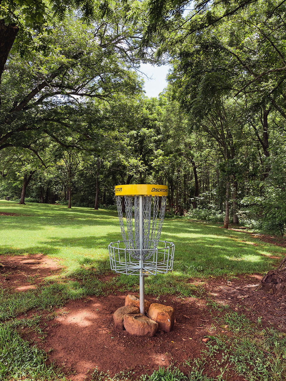 Forest path with a #12 tee box sign on the left. Tall trees and green foliage create a serene, natural setting under soft light.