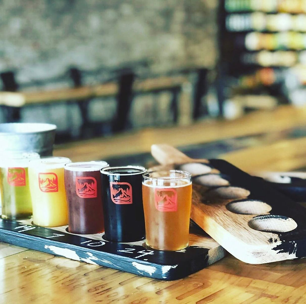 Craft beer flight on the bar at The Summit Beer Shop in Mount Holly, NC