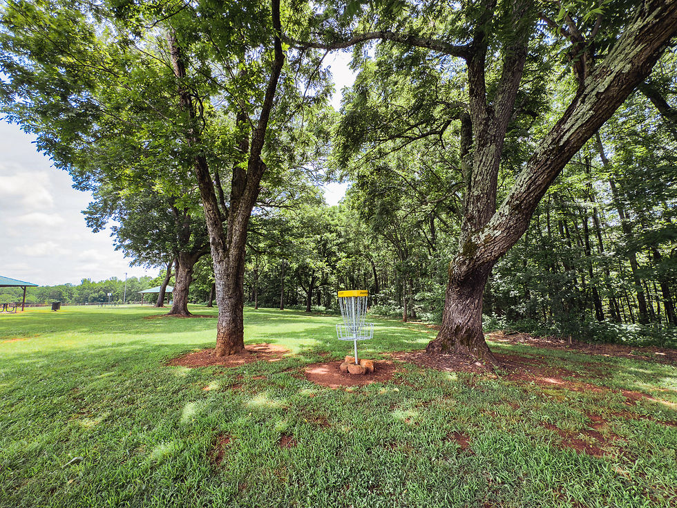 Disc golf basket with a yellow top in a sunny park, surrounded by large trees and green grass. Picnic tables and a pavilion in the background.