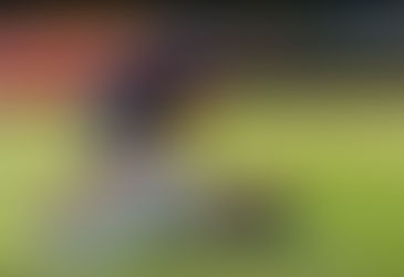 Mexicano entrena a Tigres de Aragua