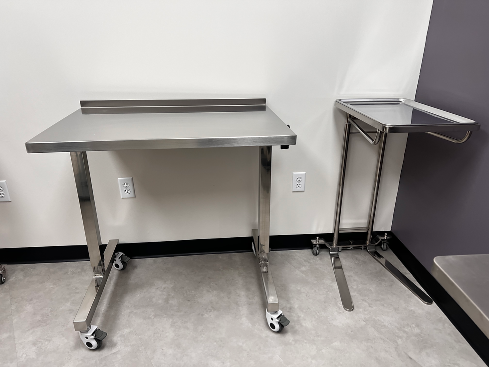 Over-Patient Instrument Table