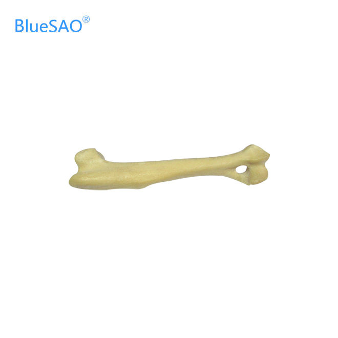 Thumbnail: Veterinary Orthopedic Bone Model
