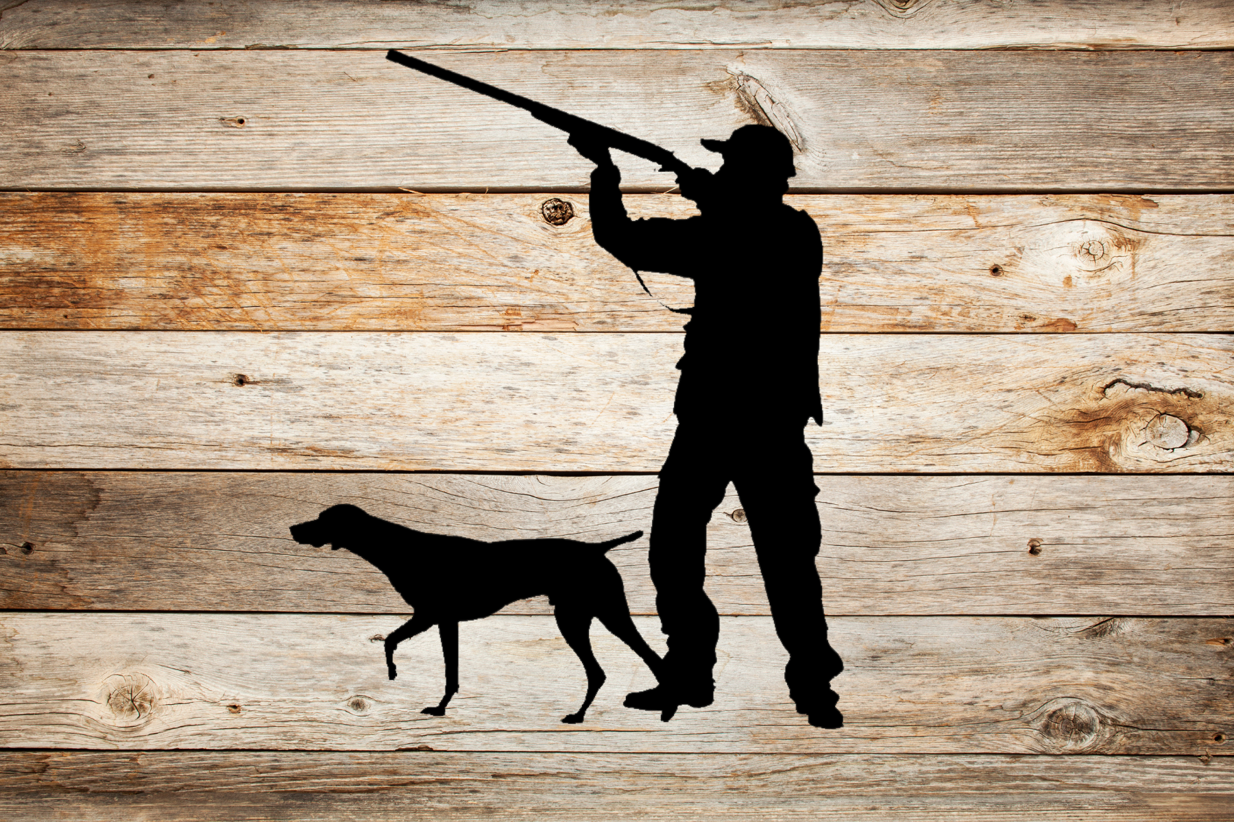 Bird Hunter with Dog 3