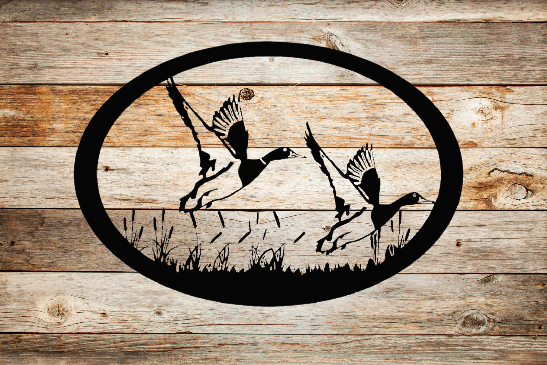 Mallards Flying Scene