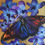 Thumbnail: Rainbow butterfly and Blue Orchids