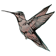 Hummingbird BW mirror_edited.png