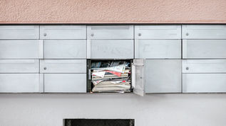 NEWSLETTER ANARLF