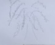 image2.jpeg