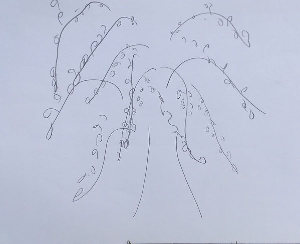image2.jpeg