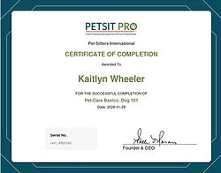 Pet Care Basics - Dogs 101 Certification 