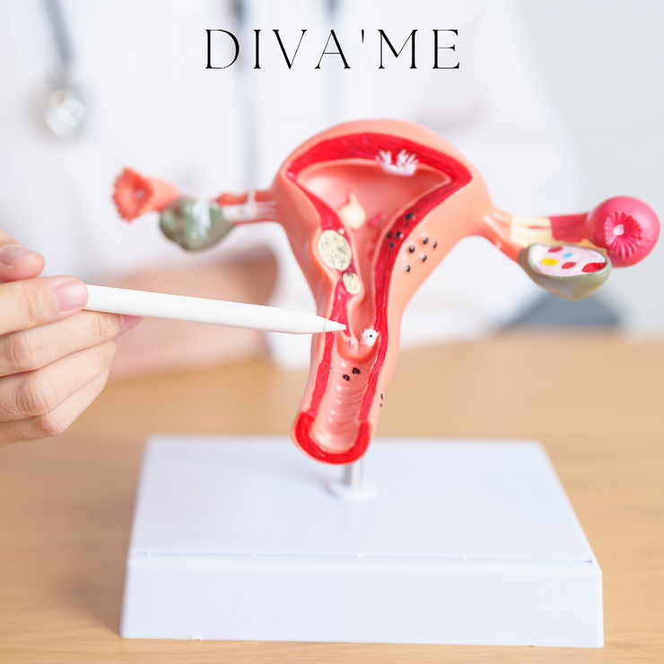 A detailed illustration of a menstrual cycle showing the formation of blood clots during periods.