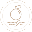 Black Camera Icon Photography Logo (29).png