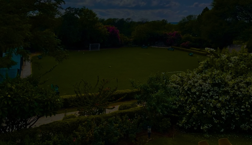 Untitled design (32).png
