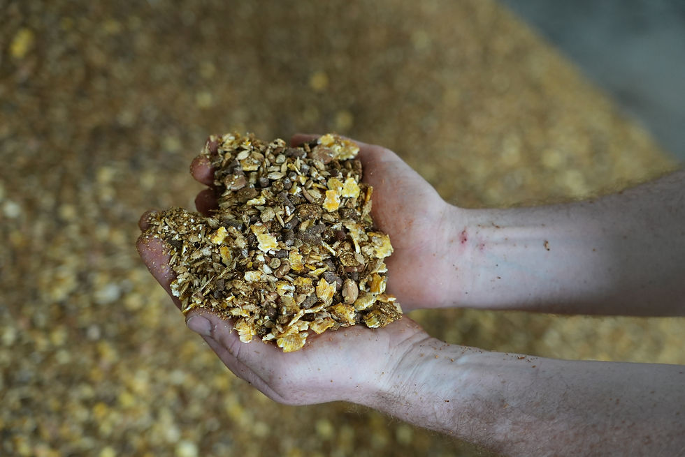 supreme beef finisher high phos.JPG