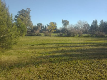 Amplio lote en 14 e 97 y 98, La Plata 🏡