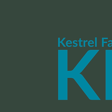 KESTREL |  FALCON