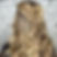 273753860_7739961422696376_8839543781246819979_n