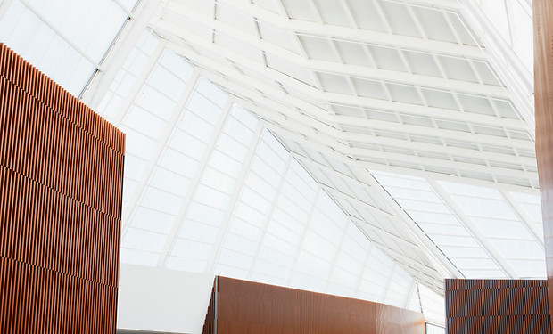 White Ceiling