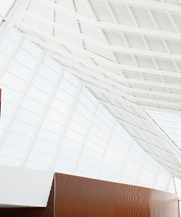White Ceiling