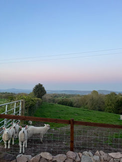 farm stay in the shropshire hills