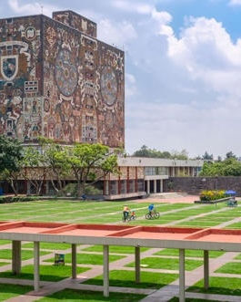 Beca de excelencia académica UNAM